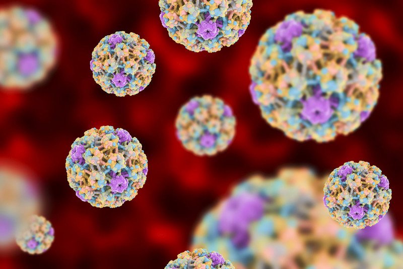 ویروس اچ پی وی (HPV) چیست؟