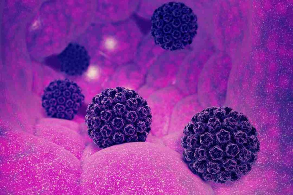 HPV چیست؟